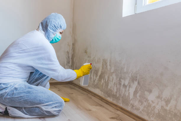 Licensed Mold Testing service in Danville, VA - WQB Mold Removal