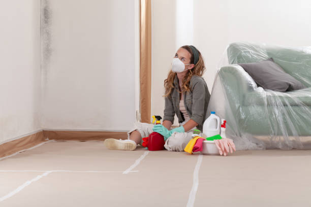 Reliable Mold Testing contractor in Danville, VA by WQB Mold Removal