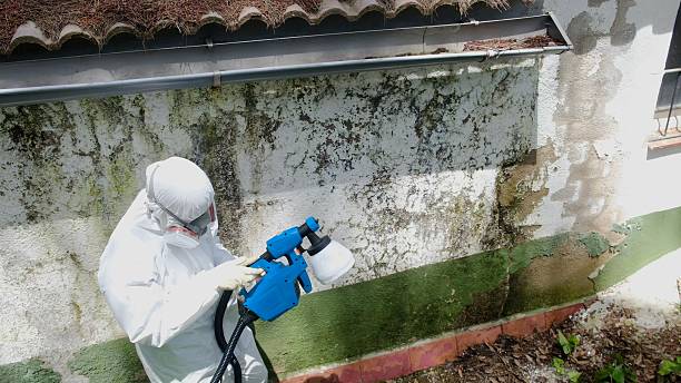 Top rated local Mold Testing specialists in Danville, VA